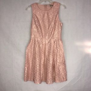 Forever 21 Contemporary Pink Lace Mini Dress Size XS